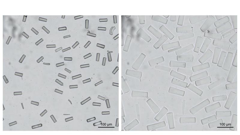 Die in der Bio-Tinte enthaltenen Gelstäbchen sind mit dem bloßen Auge nicht sichtbar, lassen sich aber unter einem Mikroskop betrachten.